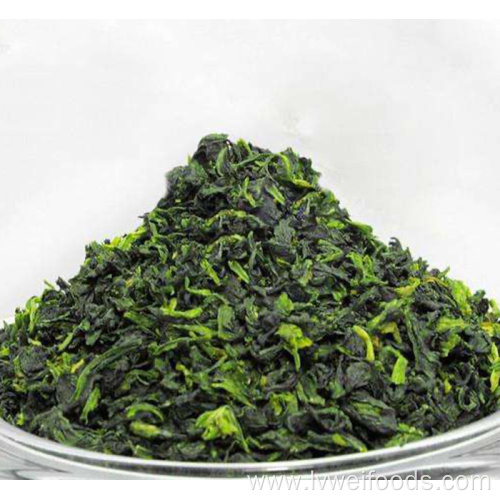 High quality dehydrated spinach leaves 3*3mm